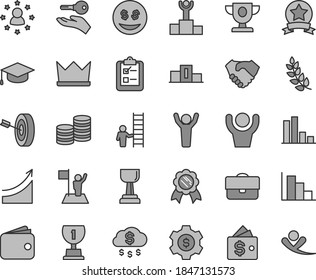 Thin line gray tint vector icon set - positive histogram vector, survey, square academic hat, portfolio, coins, bar chart, hand shake, wallet, laurel branch, pedestal, winner podium, prize, award