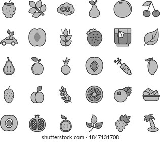 Thin line gray tint vector icon set - lettuce in a plate vector, beet, glass of tea, blueberries, strawberries, apple, pear, mint, cherry, half apricot, pomegranate, grape, plum, blackberry, mango