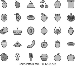 Thin line gray tint vector icon set - birthday cake vector, torte, pie, apple, popsicle, cone, jam, strawberry, strawberries, biscuit, cherry, half pomegranate, quince, red, medlar, tasty raspberry