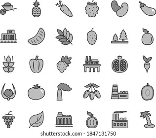 Thin line gray tint vector icon set - garden trolley vector, tomato, carrot, a pineapple, mint, half pomegranate, grape, large, blackberry, mulberry, goji berry, delicious plum, slice of tangerine