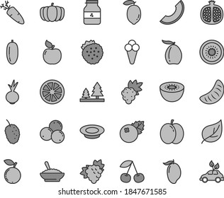 Thin line gray tint vector icon set - a bowl of buckwheat porridge vector, plate milk, beet, carrot, cone, jar jam, blueberries, strawberries, cherry, apple, half pomegranate, grape, branch, apricot