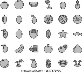 Thin line gray tint vector icon set - small fish vector, blueberries, a pineapple, orange, pomegranate, fig, mango, half of, date fruit, slice tangerine, passion, sweet, lime, kiwi, tamarillo, sour