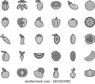 Thin line gray tint vector icon set - beet vector, carrot, strawberry, strawberries, squash, apricot, tasty apple, raspberry, rose hip, water melon, half of mango, loquat, goji berry, slice, sweet