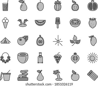 Thin line gray tint vector icon set - children's sand set vector, a glass of soda, popsicle, cone, blueberries, pear, half pomegranate, large grape, apricot, medlar, tasty raspberry, mango, loquat