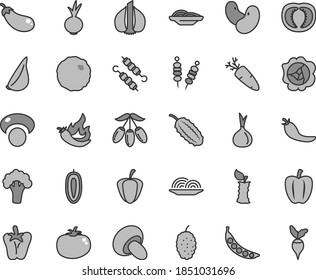 Thin line gray tint vector icon set - fried vegetables on sticks vector, onion, slices of, porcini, meat skewers, cabbage, tomato, peper, beet, garlic, carrot, squash, mulberry, goji berry, half