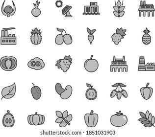 Thin line gray tint vector icon set - tomato vector, beet, a pineapple, mint, grape, branch of, tasty mulberry, cornels, goji berry, half loquat, plum, guawa, ripe, physalis, Bell pepper, beans