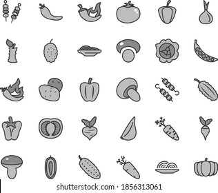 Thin line gray tint vector icon set - fried vegetables on sticks vector, onion, slices of, mushroom, porcini, meat skewers, cucumber, tomato, chili, peper, garlic, carrot, squash, mulberry, half