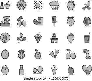Thin line gray tint vector icon set - summer stroller vector, rainy cloud, toy sand set, a glass of soda, popsicle, cone, large grape, raspberry, strawberry, cornels, blackberry, tasty, mulberry