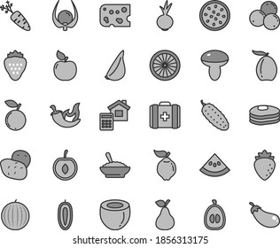 Thin line gray tint vector icon set - medical bag vector, estimate, piece of cheese, mushroom, a bowl buckwheat porridge, cucumber, chili, beet, garlic, strawberry, pear, pancakes, quince, apricot