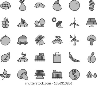 Thin line gray tint vector icon set - saving light bulb vector, porcini, cabbage, apple, pear, mint, tangerine, yellow lemon, peas, broccoli, solar panel, big, leaves, leaf, windmill, wind energy