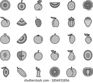 Thin line gray tint vector icon set - cucumber vector, strawberry, peach, ripe, apple, pomegranate, quince, red, tasty, mulberry, slice of water melon, mango, half, loquat, delicious plum, tangerine