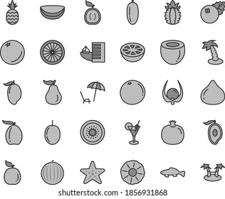 Thin line gray tint vector icon set - small fish vector, blueberries, a pineapple, orange, pomegranate, fig, water melon, mango, half of, loquat, date fruit, passion, kiwi, guava, guawa, ripe, slice