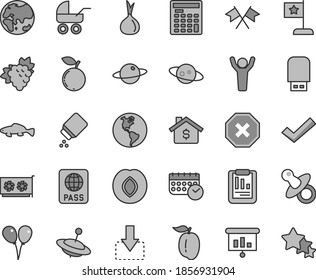 Thin line gray tint vector icon set - mark of injury vector, check, dummy, baby powder, carriage, yule, colored air balloons, passport, planet, move down, small fish, branch grape, plum, blueberry