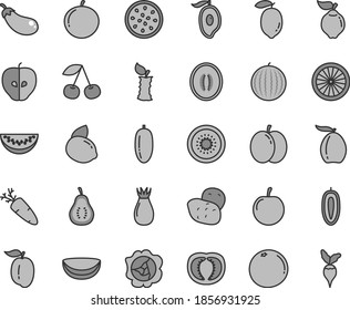 Thin line gray tint vector icon set - carrot vector, cherry, apple, squash, quince, tasty, rose hip, water melon, half of mango, loquat, slice, date fruit, tangerine, ripe plum, sweet, lemon, yellow