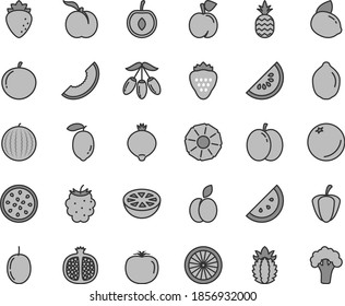 Thin line gray tint vector icon set - strawberry vector, a pineapple, apple, orange slice, peach, ripe, half pomegranate, raspberry, medlar, blackberry, water melon, of, goji berry, tangerine, lemon