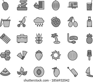 Thin line gray tint vector icon set - summer stroller vector, rainy cloud, children's sand set, suitcase, a glass of soda, popsicle, strawberries, mint, honeycombs, plum, raspberry, cornels, melon