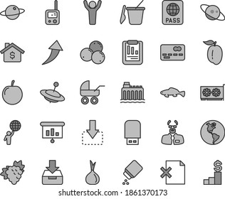 Thin line gray tint vector icon set - baby powder vector, carriage, toy phone, children's sand set, yule, passport, put in a box, delete page, planet, move down, small fish, branch of grape, tasty
