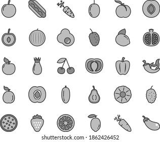 Thin line gray tint vector icon set - Hot Dog vector, chili, carrot, fried egg, strawberry, cherry, ripe peach, half apricot, pomegranate, plum, rose hip, mulberry, tasty, water melon, date fruit