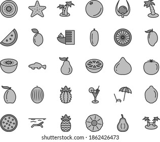 Thin line gray tint vector icon set - small fish vector, orange slice, fig, melon, mango, loquat, date fruit, lime, kiwi, half of, passion, sour, ripe pineapple, grapefruit, guava, part, physalis