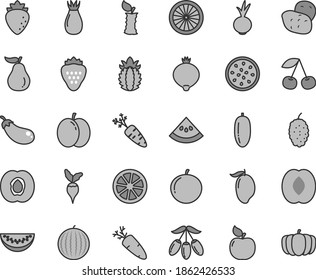 Thin line gray tint vector icon set - beet vector, carrot, strawberry, cherry, apple, half apricot, raspberry, rose hip, medlar, mulberry, water melon, mango, goji berry, peach, slice, date fruit