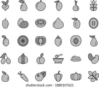 Thin line gray tint vector icon set - deep plate with a spoon vector, eggs, onion, carrot, blueberries, apple, mint, pear, plum, cornels, fig, mulberry, mango, half melon, tangerine, ripe, tamarillo