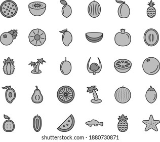 Thin line gray tint vector icon set - small fish vector, blueberries, a pineapple, orange slice, pomegranate, melon, water, mango, half of, loquat, passion fruit, sweet date, kiwi, tamarillo, guawa