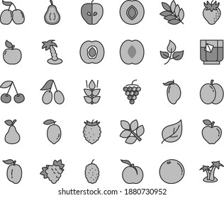 Thin line gray tint vector icon set - a glass of tea vector, pear, mint, cherry, ripe peach, apple, half apricot, branch grape, large, red, tasty, plum, strawberry, cornels, raspberry, mulberry