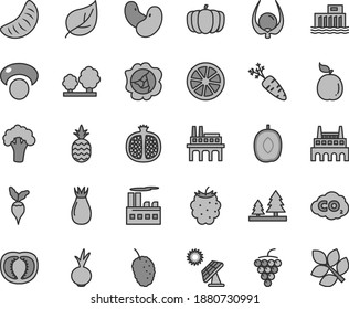 Thin line gray tint vector icon set - beet vector, a pineapple, half pomegranate, large grape, squash, rose hip, blackberry, tasty mulberry, delicious plum, slice of tangerine, juicy lemon, guava