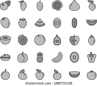 Thin line gray tint vector icon set - a plate of fruit vector, peper, blueberries, strawberries, apple, quince, apricot, red, tasty, fig, blackberry, mulberry, melon, mango, half, water slice, plum