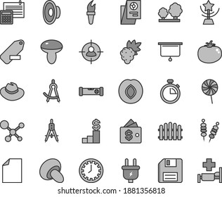 Juego de iconos vectoriales de tono gris de línea delgada - vector de disquete, cronómetro, cara de reloj, hoja de papel limpia, sombrero, altavoz, etiqueta de eliminación, nivel de construcción, cálculo, seta, porcini, ciruela