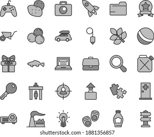 Thin line gray tint vector icon set - laptop vector, folder, bath ball, Puzzle, shoes for little children, building trolley, plummet, key, camera, small fish, bottle, blueberries, potato, factory