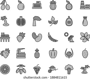 Thin line gray tint vector icon set - garden trolley vector, a pineapple, half pomegranate, grape, branch of, large, rose hip, cornels, mulberry, goji berry, loquat, juicy lemon, guava, guawa, ripe