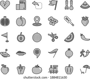 Thin line gray tint vector icon set - wind direction indicator vector, pennant, electronic thermometer e, plastic fork spoons, baby toy train, yule, broken heart, flag, move left, slices of onion