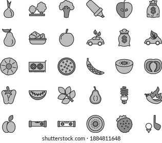 Thin line gray tint vector icon set - construction level vector, building, lettuce in a plate, peper, strawberries, apple, tasty, water melon slice, plum, kiwi, half of, passion fruit, pineapple