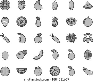 Thin line gray tint vector icon set - carrot vector, blueberries, strawberry, peach, rose hip, blackberry, blueberry, mulberry, melon, water, slice of, loquat, goji berry, date fruit, tangerine