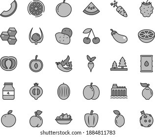 Thin line gray tint vector icon set - a plate of fruit vector, jar jam, honeycombs, cherry, peach, apple, quince, half medlar, blackberry, melon, slice, tangerine, sour lime, delicious, lemon, water