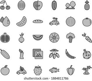 Thin line gray tint vector icon set - picture vector, loaf, cucumber, beet, fish, a pineapple, cherry, half pomegranate, tasty apple, blackberry, melon, water, goji berry, slice, of tangerine, stub