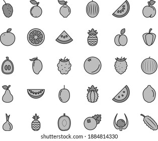 Thin line gray tint vector icon set - blueberries vector, a pineapple, apple, pear, orange slice, peach, quince, blackberry, tasty raspberry, blueberry, mulberry, melon, water, of, mango, lime, ripe