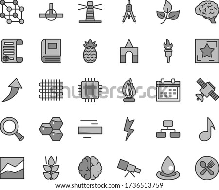 Thin line gray tint vector icon set - calendar vector, minus, line chart, box of bricks, lightning, flowchart, mint, honeycombs, pineapple, leaves, weaving, drop oil, Measuring compasses, lighthouse