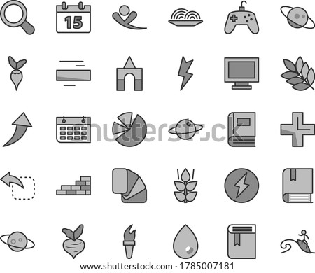 Thin line gray tint vector icon set - monitor window vector, plus, minus, book, box of bricks, e, brick wall, sample colour, lightning, calendar, drop, planet, move left, onion, mint, beet, radish