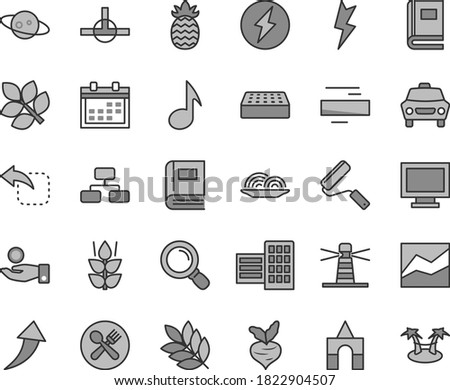 Thin line gray tint vector icon set - monitor window vector, calendar, minus, line chart, box of bricks, new roller, city block, brick, lightning, car, flowchart, move left, onion, mint, pineapple