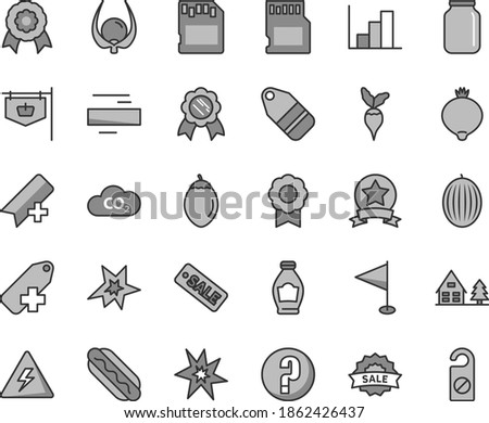 Thin line gray tint vector icon set - danger of electricity vector, add bookmark, minus, label, pennant, negative histogram, question, Hot Dog, bottle, medlar, melon, tamarillo, physalis, radish