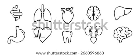 Thin Line Human Organ Icon Set, Outline Symbol of Liver, Brain, Heart, Lungs, Intestine, Tooth, Stomach, Urinary System for Anatomy and Healthcare Vector Design