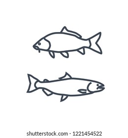 thin line icon fish, carp and salmon