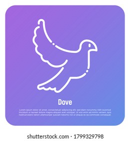 Thin line icon of flying dove, sign of love and peace. Bird logo. Vector illustration.