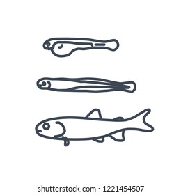 thin line icon larvae, juvenile, fry fish
