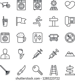 Thin Line Icon Set - airport bus vector, elevator, washer, rake, ladder, wheelbarrow, garden knife, syringe, run, signpost, tulip, heart, user, sun panel, mountains, key, cafe, phyto bar, beer, flag
