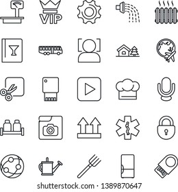 Thin Line Icon Set - airport bus vector, vip, lock, plane globe, farm fork, watering can, ambulance star, up side sign, heavy scales, microphone, network, play button, settings, cut, face id, heater