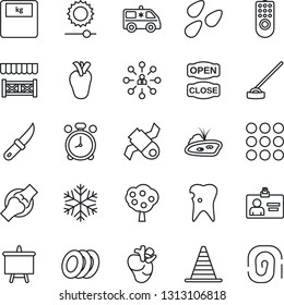 Thin Line Icon Set - alarm clock vector, border cone, identity card, hierarchy, presentation board, hoe, garden knife, seeds, scales, ambulance car, real heart, caries, joint, satellite, menu, pond