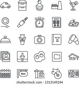 Thin Line Icon Set - alarm clock vector, calendar, flower in pot, pills, car delivery, flame disk, camera, jack connector, archive chest, folder, download, brightness, photo gallery, contract, stamp